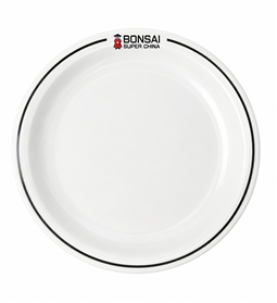 Prato em Porcelana Raso Iguaçu - RP6
