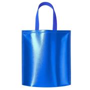 Sacola TNT Metalizado - SA253
